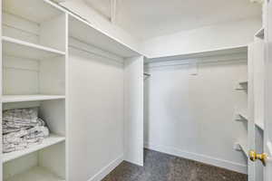 Spacious closet with dark colored carpet