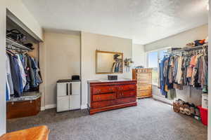 Spacious closet with carpet floors