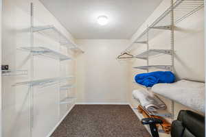 Spacious closet with carpet flooring