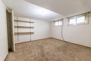 Basement featuring light colored carpet