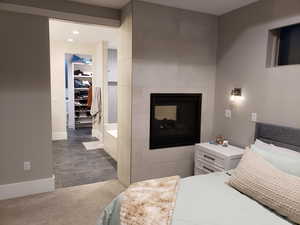 Carpeted bedroom with a walk in closet, a multi sided fireplace, and a closet