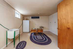 Basement with white refrigerator