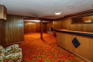 Interior space featuring wood walls and carpet floors