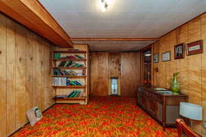 Interior space featuring wood walls and carpet