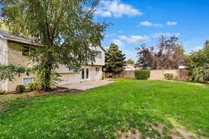 View of yard with a patio area