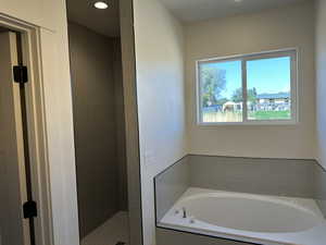 Bathroom with separate shower and tub