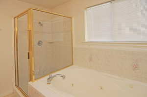 Master Shower / Jetted Tub