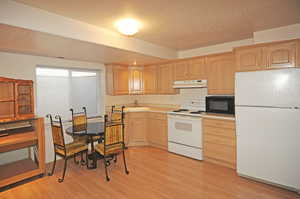 Basement Kitchen