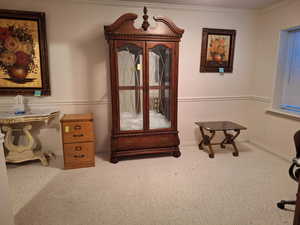 Misc room featuring carpet and ornamental molding