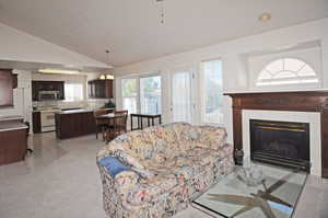 Living room with fireplace