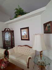 Living room featuring lofted ceiling