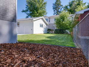 Fenced Back Yard