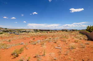 View of local wilderness