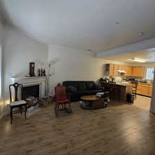 Living room featuring wood-type flooring and ornamental molding