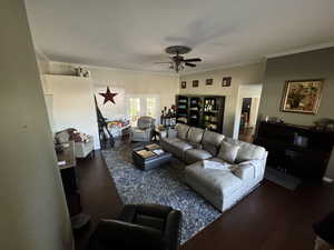 Living room featuring ceiling fan, ornamental molding, and dark hardwood / wood-style flooring