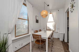 Dining space featuring wood-type flooring