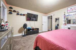 Carpeted master bedroom with a textured ceiling