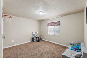 Basement bedroom