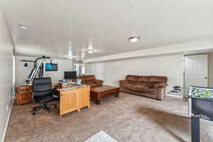 basement family room featuring carpet, a textured ceiling, and a healthy amount of sunlight