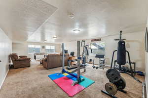 basement family room featuring carpet, a textured ceiling, and a healthy amount of sunlight