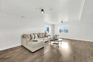 Living room featuring wood-type flooring