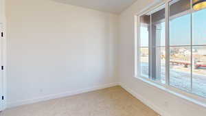 Carpeted spare room with a wealth of natural light