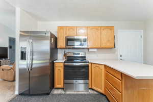 Kitchen with light colored carpet, a textured ceiling, stainless steel appliances, and kitchen peninsula