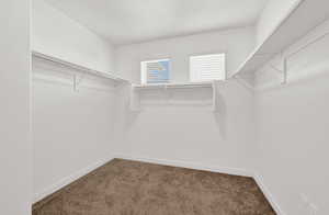 Spacious closet featuring carpet