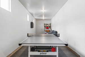 Playroom in garage with carpet flooring