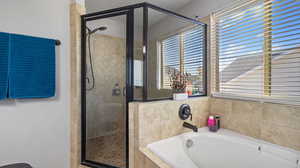 Bathroom with independent shower and bath