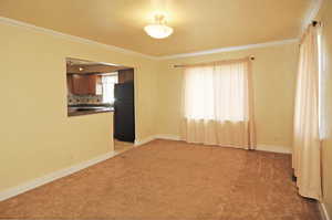 Unfurnished living room featuring light colored carpet and crown molding