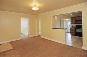 Carpeted empty room featuring ornamental molding and a textured ceiling