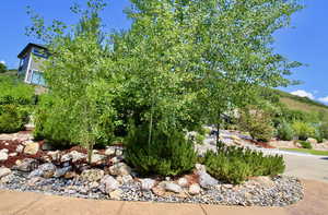 View yards highlighting environmentally friendly landscaping with rock features and drought-tolerant plants surrounding lawns that invite your family to play outside.