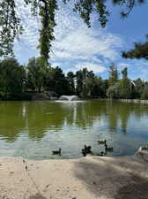 View of water feature and duck pond