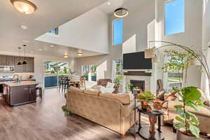 Living room with a towering ceiling, a fireplace, and abundant natural light