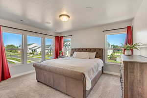 Master bedroom with large windows and abundant natural light