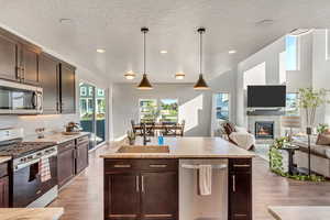 Kitchen with pendant lighting, sink, appliances with stainless steel finishes, and dark brown cabinetry