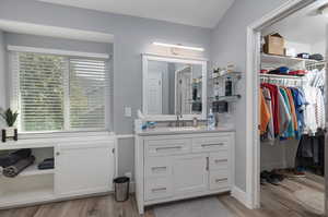 Bathroom featuring wood-type flooring and vanity