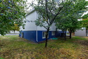 View of yard featuring a shed