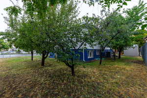 View of yard with mature fruit trees