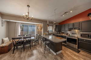 Kitchen with stainless steel appliances, breakfast bar, vaulted ceiling, kitchen peninsula, and pendant lighting.  Newer stove/oven.  Fridge stays.