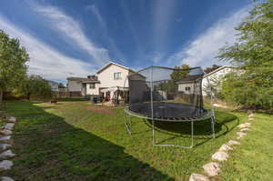 Back yard.  Apple tree.  Trampoline stays.