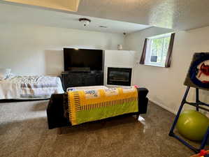 Basement living room with a gas fireplace and carpet