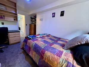 View of carpeted bedroom in basement with a queen sized bed.