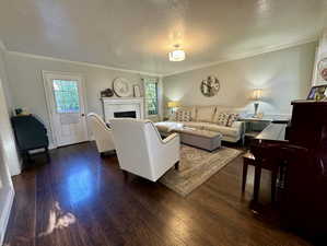 Living room with a tiled fireplace, a textured ceiling, dark wood-type flooring, and crown molding