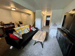 Basement living room