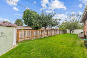 Backyard area.