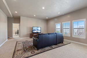 Living room featuring light carpet and a textured ceiling