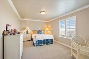 Bedroom with carpet floors and ornamental molding