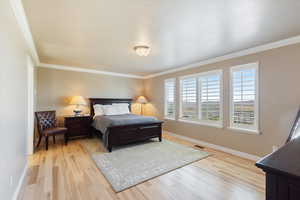 Bedroom featuring crown molding and light hardwood / wood-style flooring